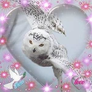 Meet your Posher, Marina